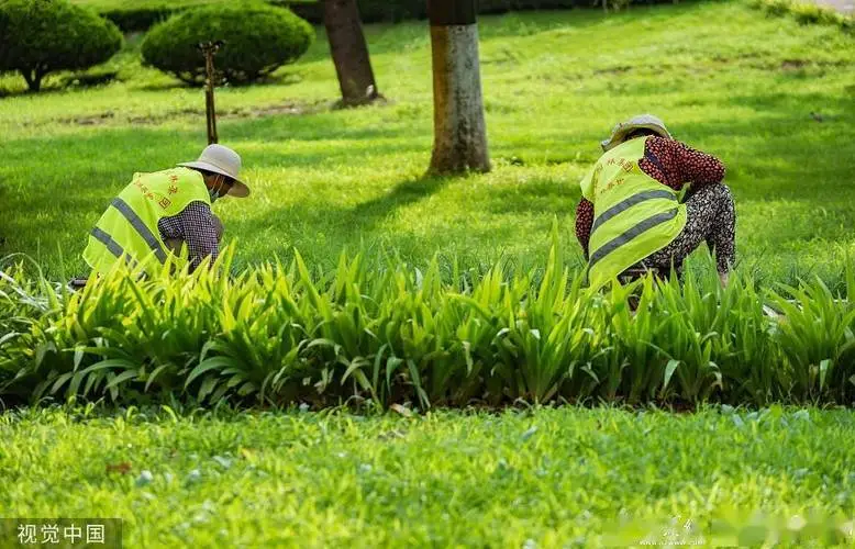 成都市政綠化工程經(jīng)營(yíng)范圍
