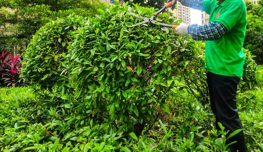 同沙綠化工程