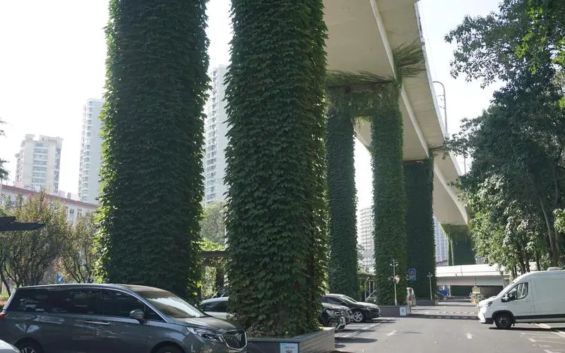 水生植物綠化工程廠家