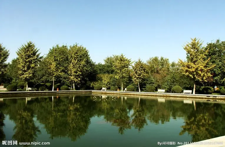 城市園林亂象頻現(xiàn)，整改方案緊急發(fā)布，讓花園更美麗！