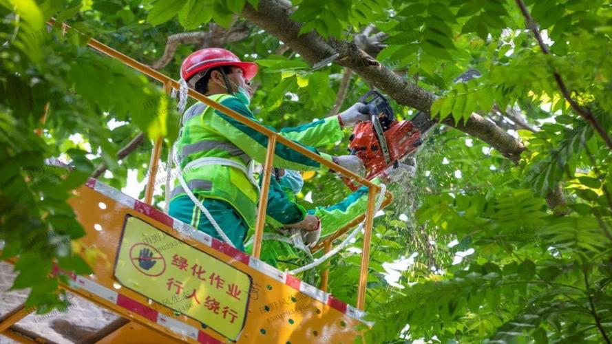 各類農(nóng)業(yè)園林景觀設(shè)計