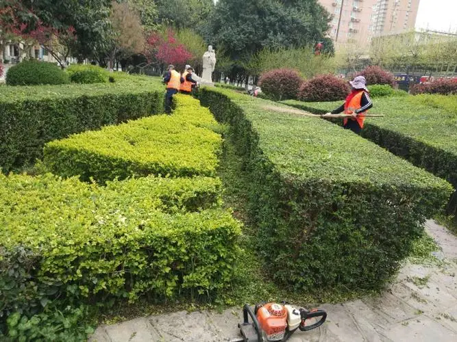 北京：人人動手周末大掃除 共建美麗家園